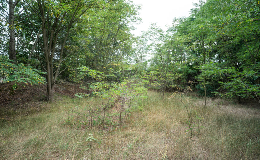 210816-GIP-Begehung-135