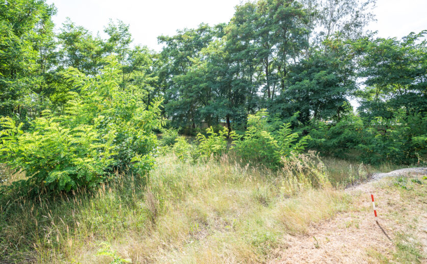 210816-GIP-Begehung-143